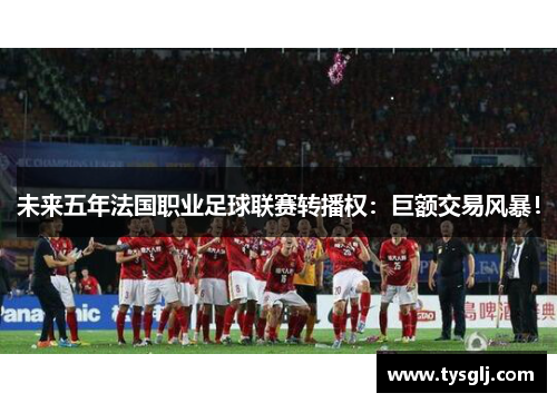 未来五年法国职业足球联赛转播权：巨额交易风暴！
